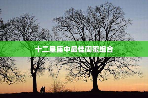 十二星座中最佳闺蜜组合