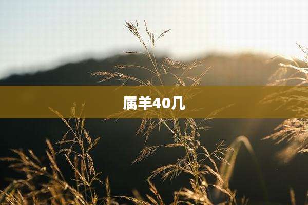 属羊40几