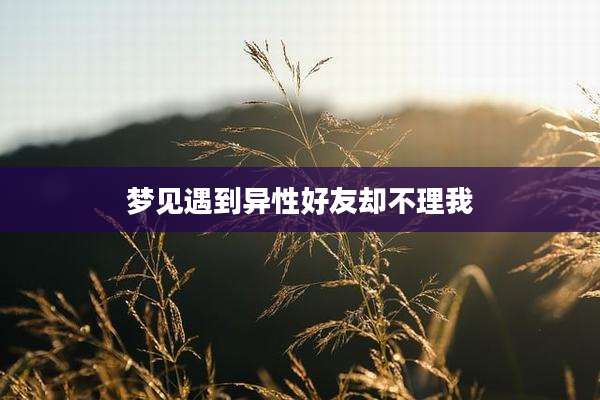 梦见遇到异性好友却不理我
