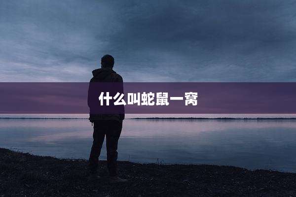 什么叫蛇鼠一窝