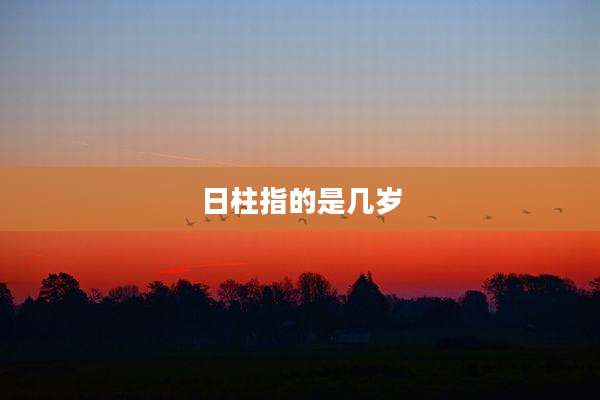 日柱指的是几岁