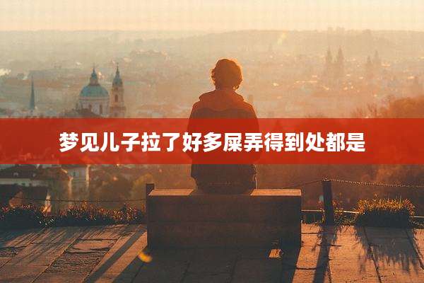 梦见儿子拉了好多屎弄得到处都是