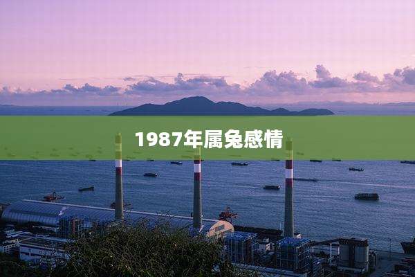 1987年属兔感情