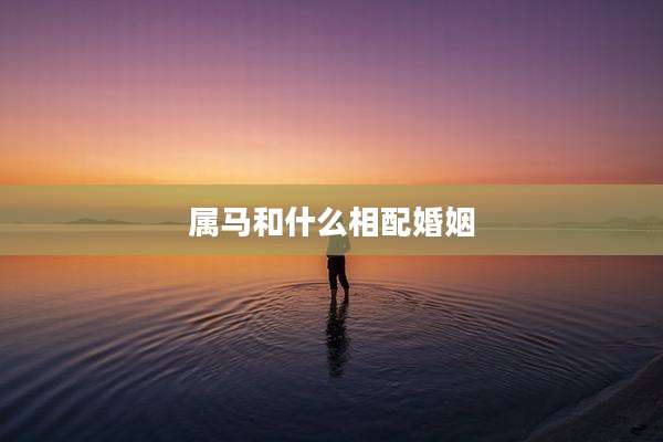 属马和什么相配婚姻