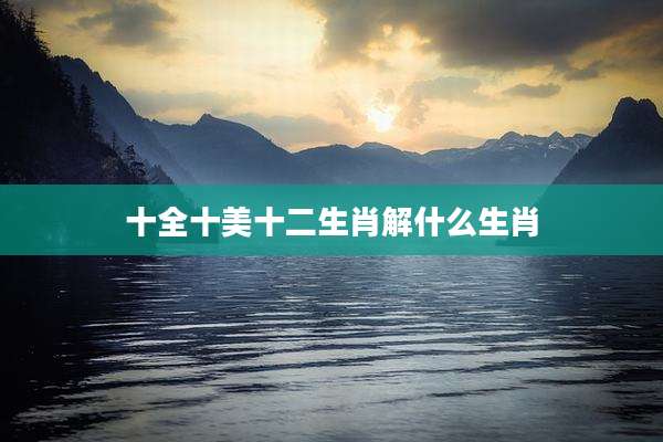 十全十美十二生肖解什么生肖