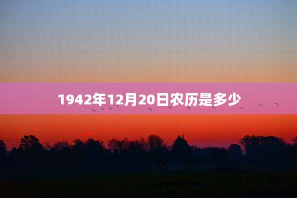 1942年12月20日农历是多少