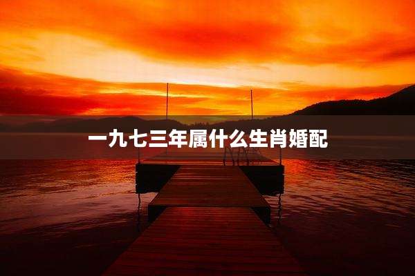 一九七三年属什么生肖婚配