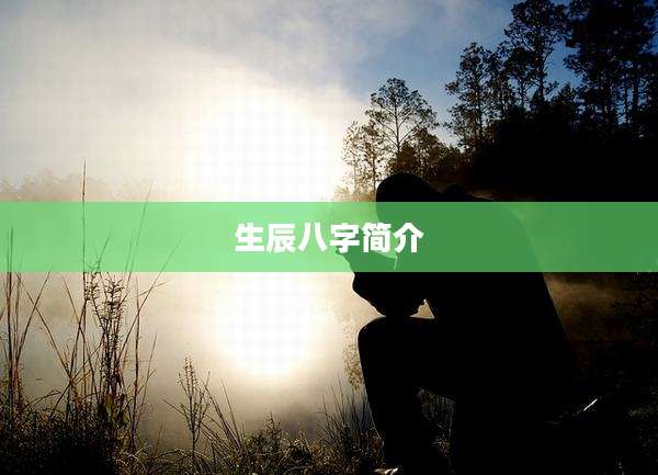 生辰八字简介