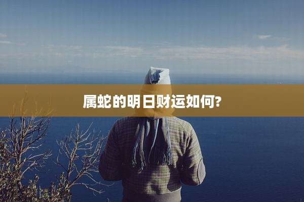 属蛇的明日财运如何?