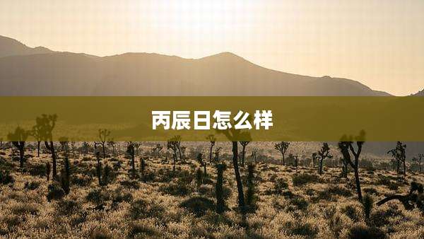 丙辰日怎么样