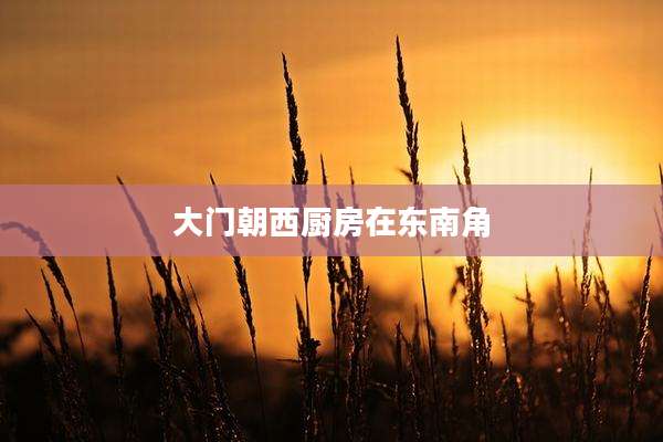 大门朝西厨房在东南角
