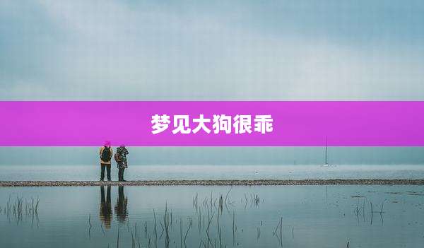 梦见大狗很乖