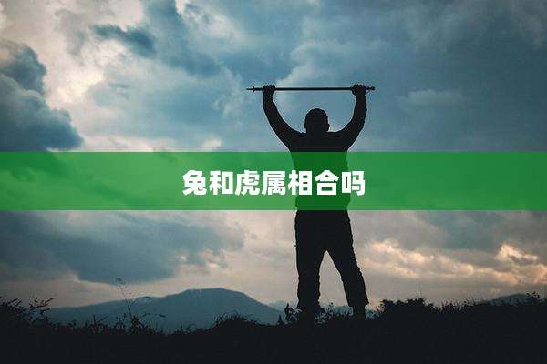 兔和虎属相合吗