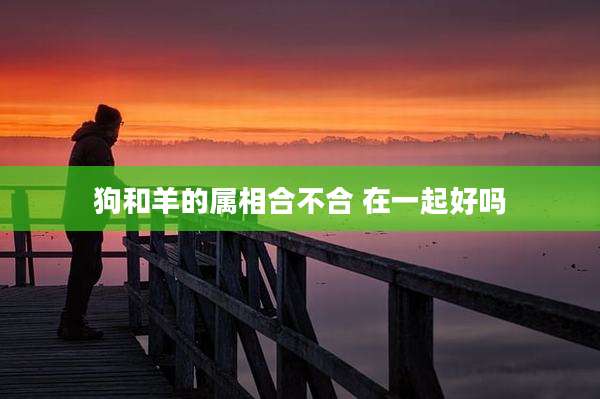 狗和羊的属相合不合 在一起好吗