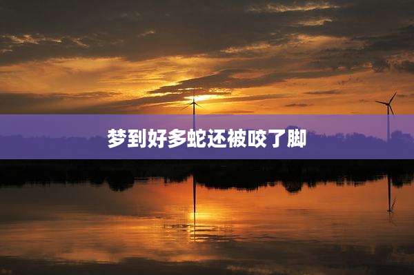梦到好多蛇还被咬了脚