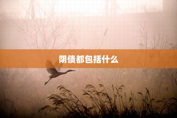 阴债都包括什么