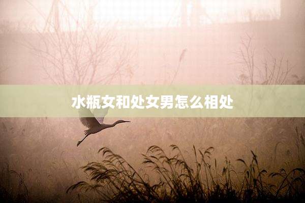 水瓶女和处女男怎么相处