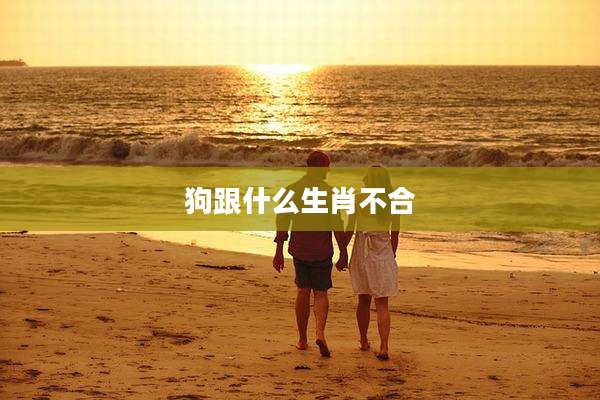 狗跟什么生肖不合