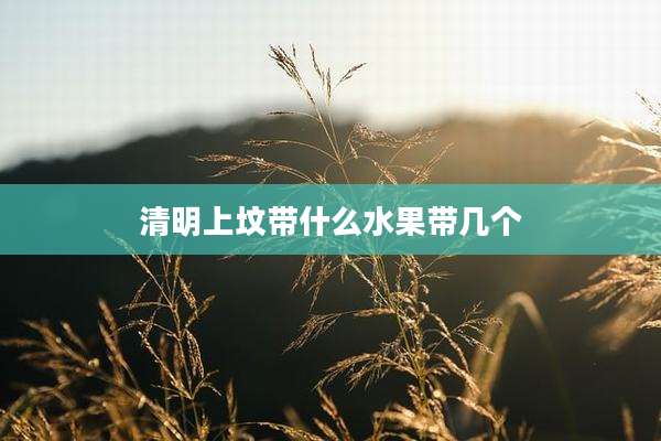 清明上坟带什么水果带几个
