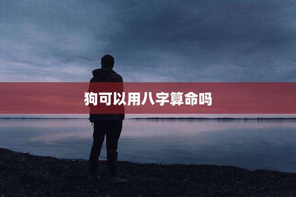 狗可以用八字算命吗