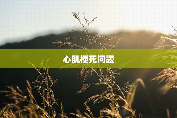 心肌梗死问题