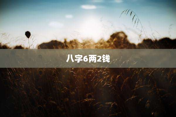 八字6两2钱