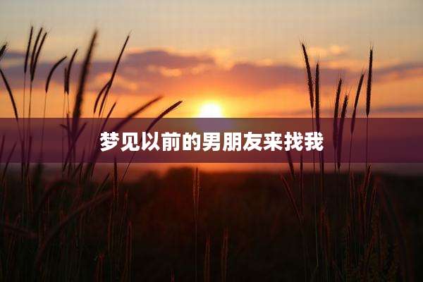 梦见以前的男朋友来找我