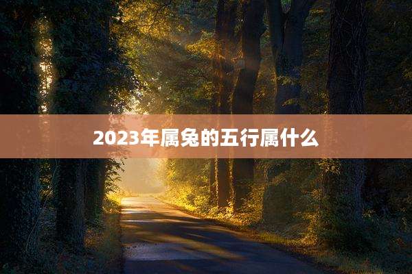 2023年属兔的五行属什么