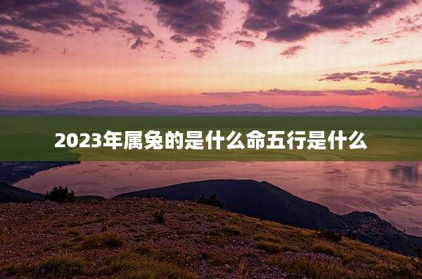 2023年属兔的是什么命五行是什么
