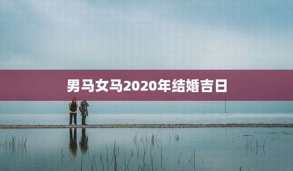男马女马2020年结婚吉日