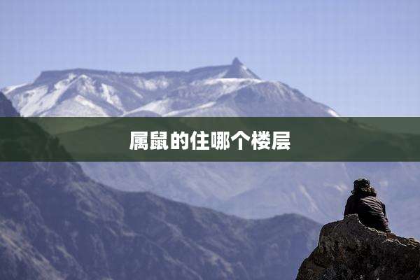 属鼠的住哪个楼层