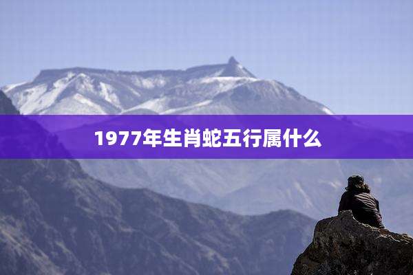 1977年生肖蛇五行属什么