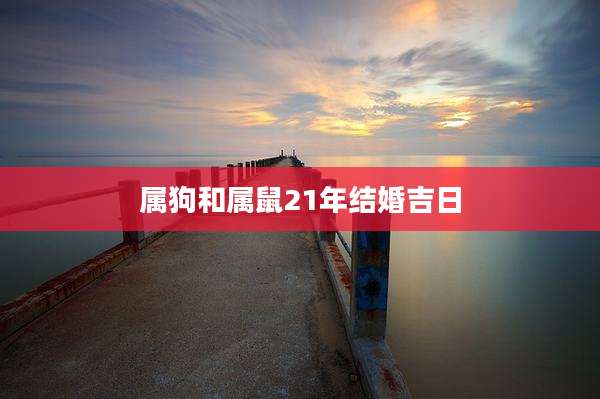 属狗和属鼠21年结婚吉日