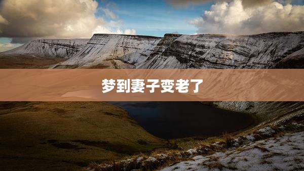 梦到妻子变老了