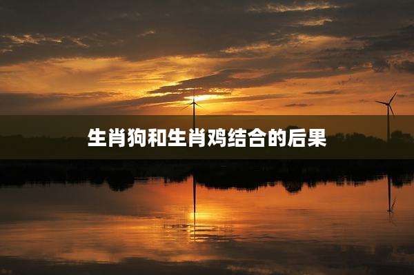 生肖狗和生肖鸡结合的后果
