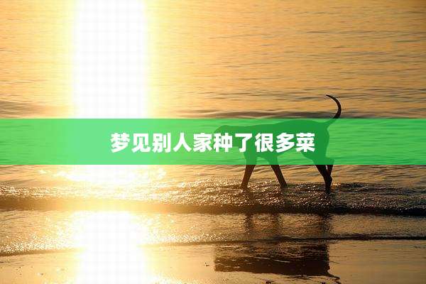 梦见别人家种了很多菜