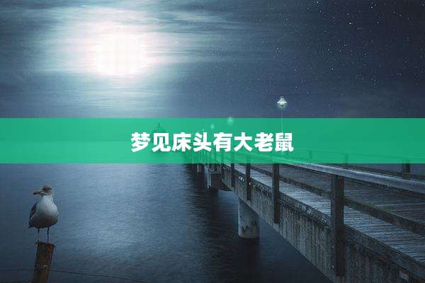 梦见床头有大老鼠