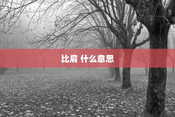 比肩 什么意思