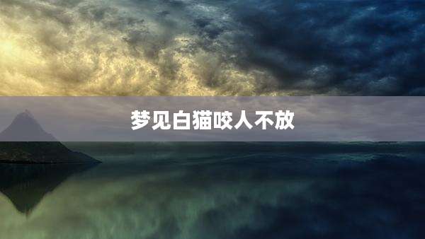 梦见白猫咬人不放