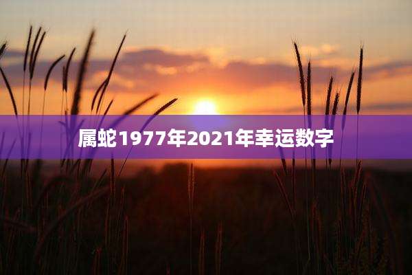 属蛇1977年2021年幸运数字