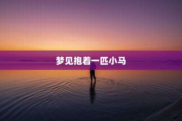 梦见抱着一匹小马