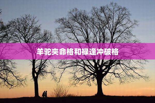 羊驼夹命格和禄逢冲破格