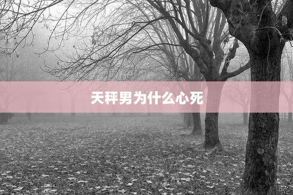 天秤男为什么心死