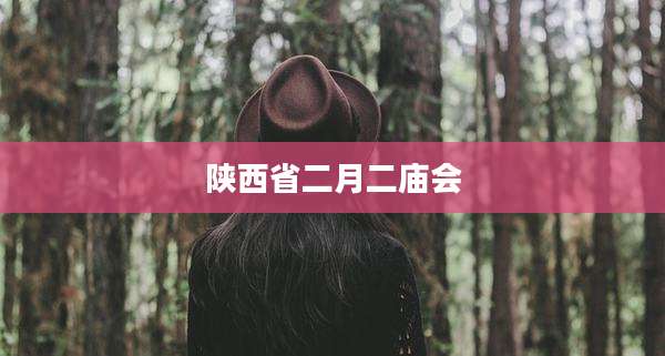 陕西省二月二庙会