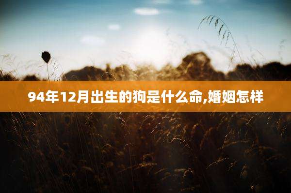94年12月出生的狗是什么命,婚姻怎样