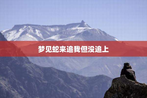 梦见蛇来追我但没追上