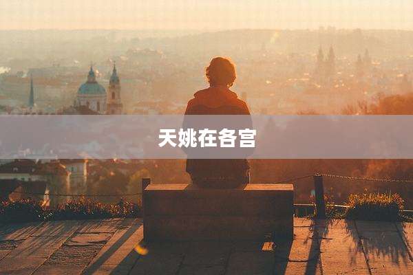 天姚在各宫