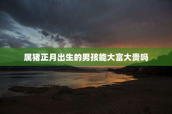 属猪正月出生的男孩能大富大贵吗