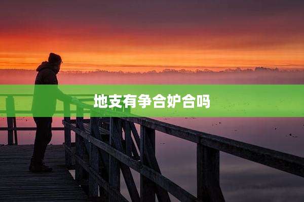 地支有争合妒合吗