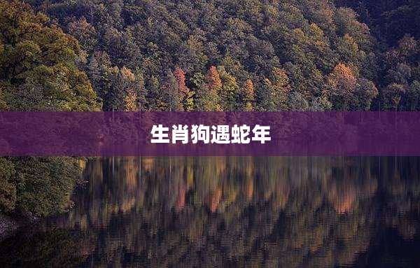 生肖狗遇蛇年